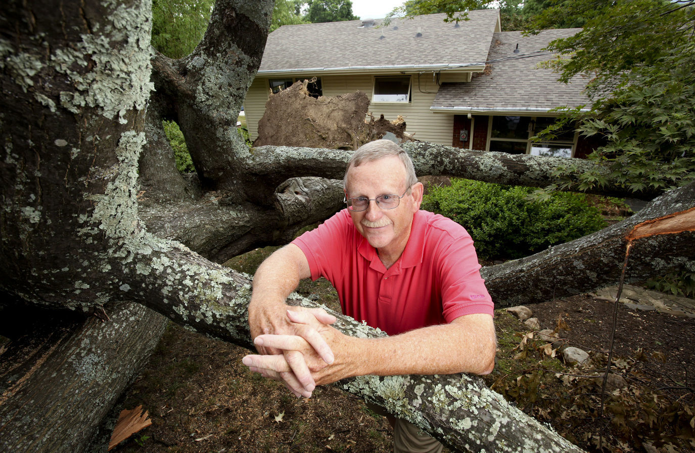 Man with tree